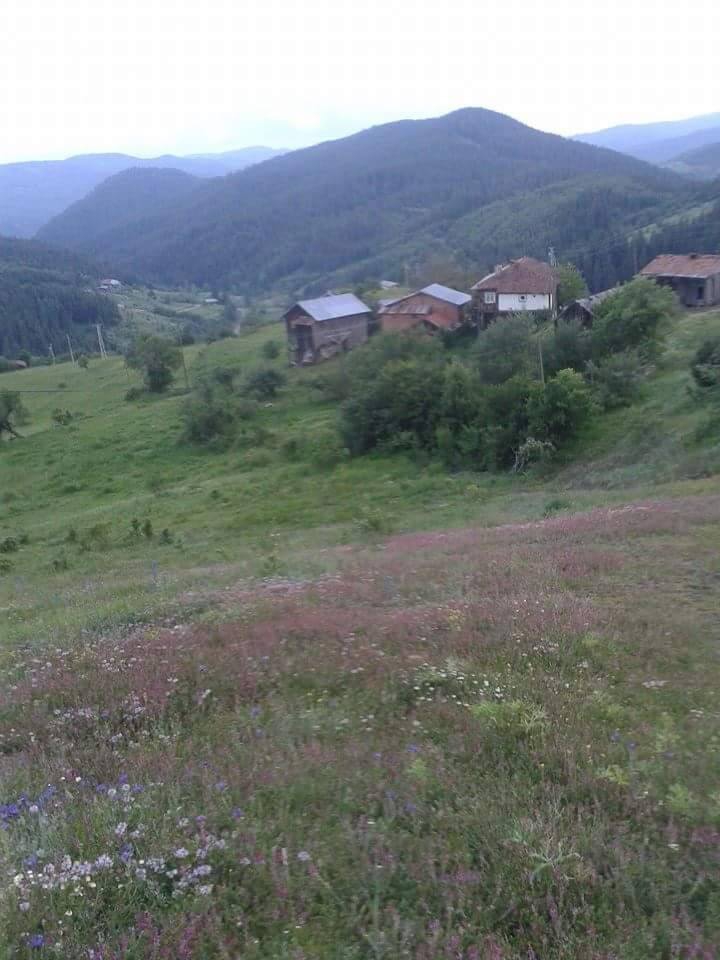 Kastamonu Akçakese Köyü Resimleri 10