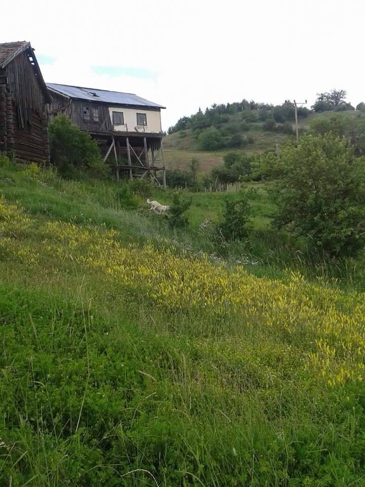 Kastamonu Akçakese Köyü Resimleri 11