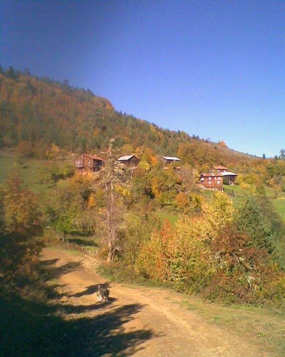 Kastamonu Akçakese Köyü Resimleri 12