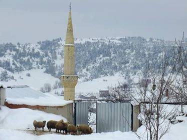 Kastamonu Akdoğan Köyü Resimleri 5