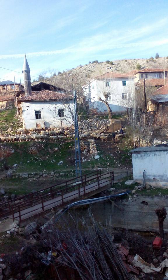 Kastamonu Alçıcılar Köyü Resimleri 1