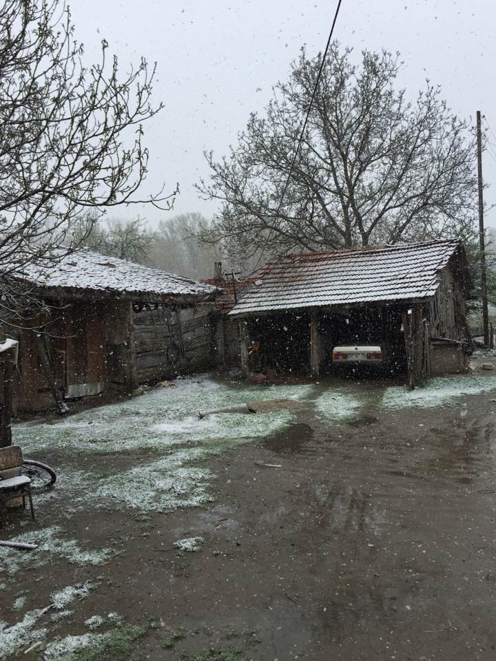 Kastamonu Alçıcılar Köyü Resimleri 3