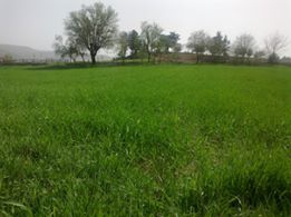 Kastamonu Alpagut Köyü Resimleri 3