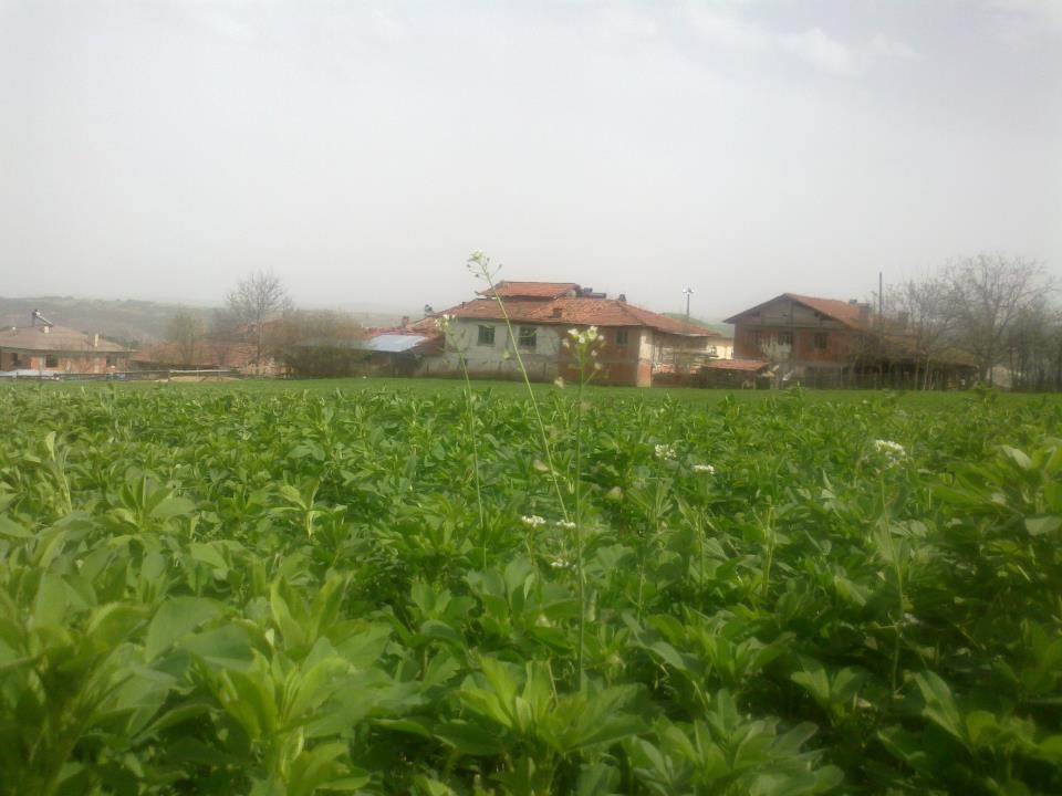 Kastamonu Alpagut Köyü Resimleri 5