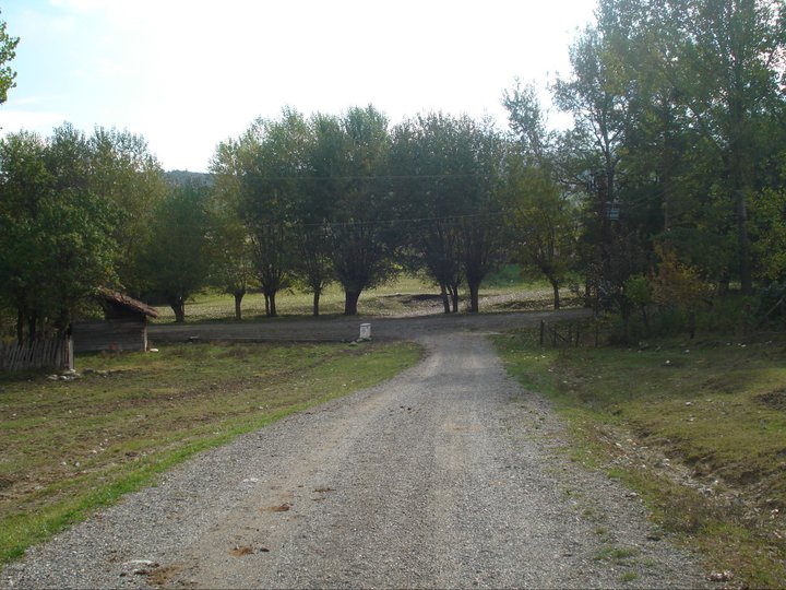 Kastamonu Alpı Köyü Resimleri 4