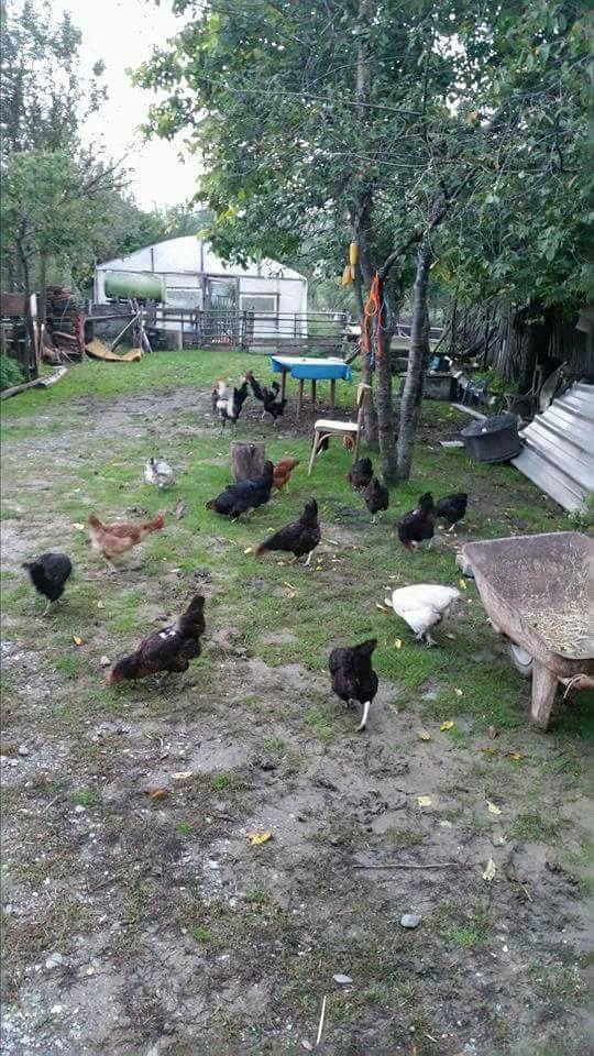 Kastamonu Aşağıismailli Köyü Resimleri 1