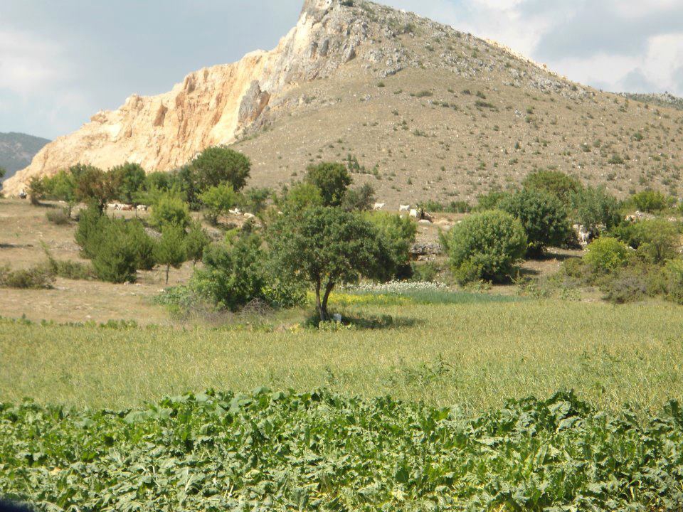 Kastamonu Aşağıbatak Köyü Resimleri 2