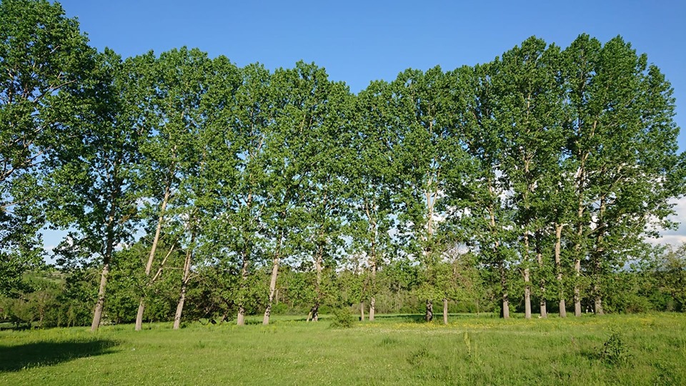 Kastamonu Aşağıyuva Köyü Resimleri 2