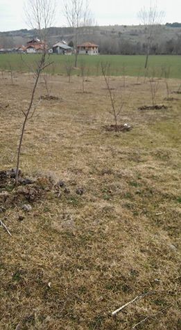 Kastamonu Aşağıyuva Köyü Resimleri 3