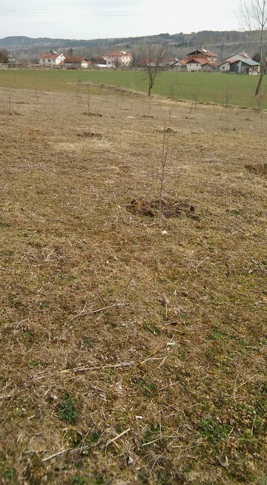 Kastamonu Aşağıyuva Köyü Resimleri 5