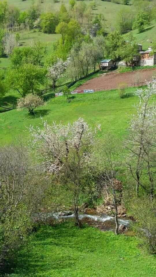 Kastamonu Aşağıyuva Köyü Resimleri 6