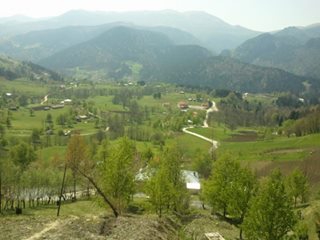 Tonya Çayıriçi Köyü Resimleri 12