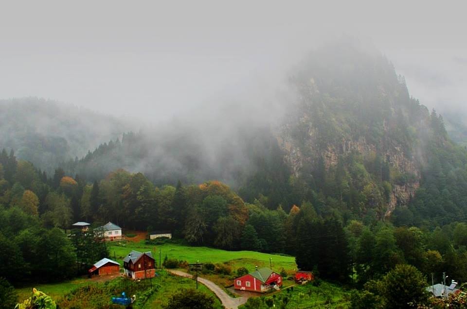 Tonya Çayıriçi Köyü Resimleri 16