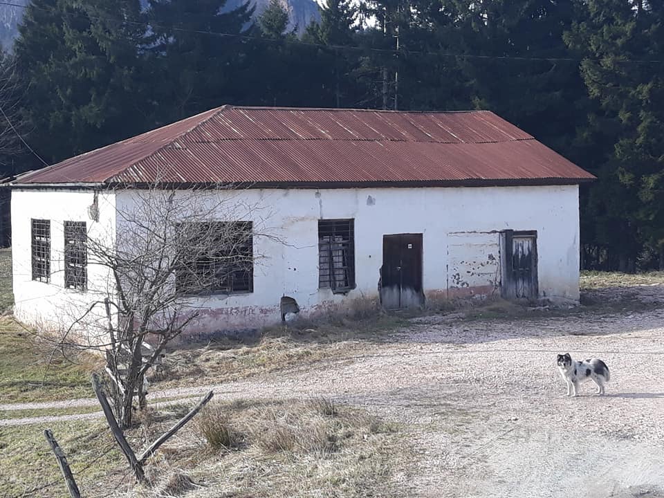 Tonya Çayıriçi Köyü Resimleri 21