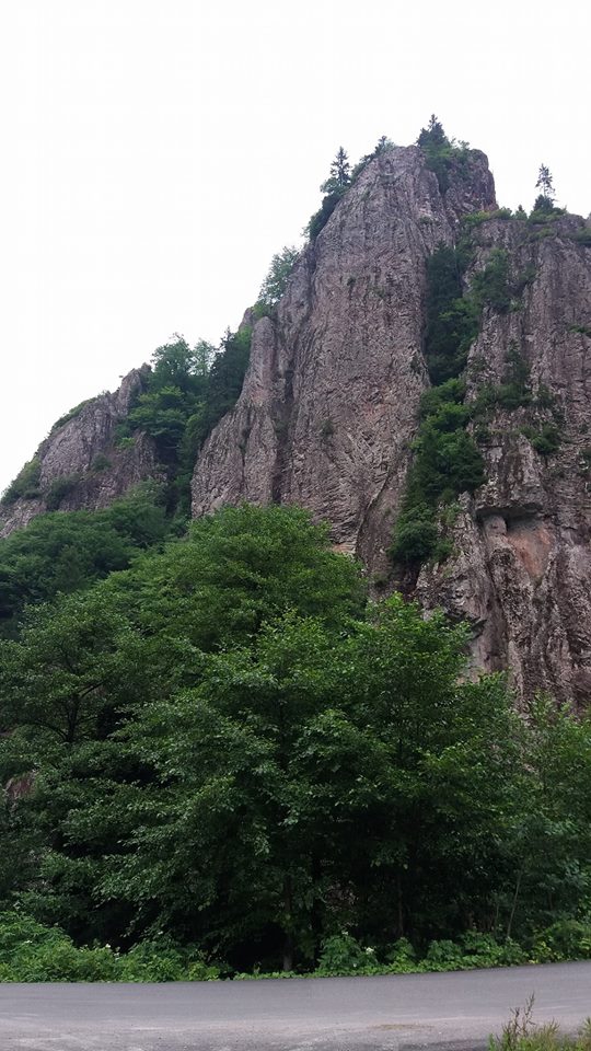 Tonya Çayıriçi Köyü Resimleri 22