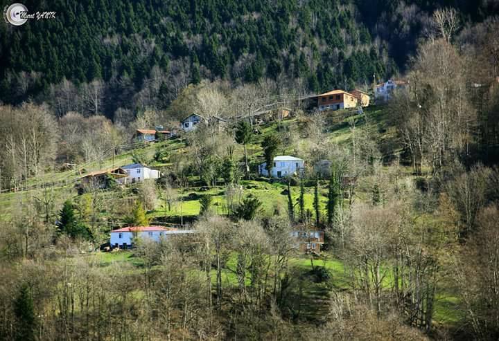 Tonya Çayıriçi Köyü Resimleri 24