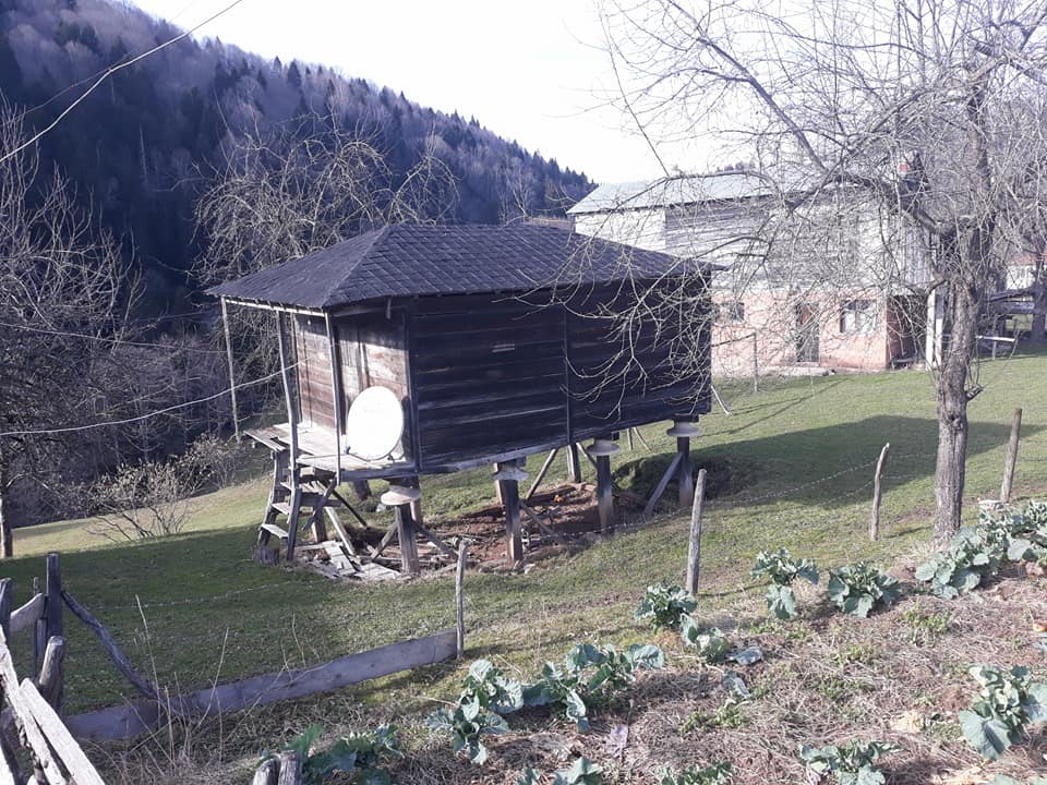 Tonya Çayıriçi Köyü Resimleri 27