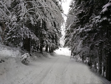 Tonya Çayıriçi Köyü Resimleri 31