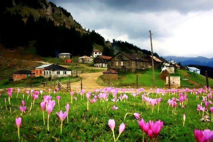 Tonya Çayıriçi Köyü Resimleri 4