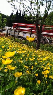 Tonya Çayıriçi Köyü Resimleri 9