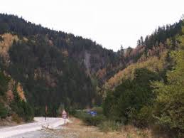 Kastamonu Ayvalar Köyü Resimleri 2