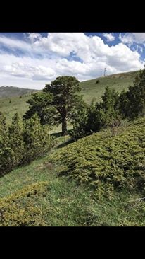 Bayburt Gümüşsu Köyü Resimleri 6