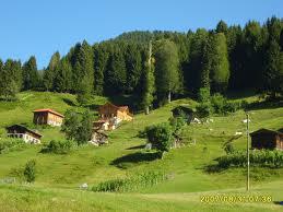 Bafra Adaköy Köyü Resimleri 6