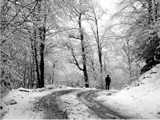 Tonya Hoşarlı Köyü Resimleri 12