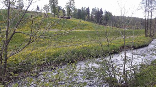 Tonya Hoşarlı Köyü Resimleri 13