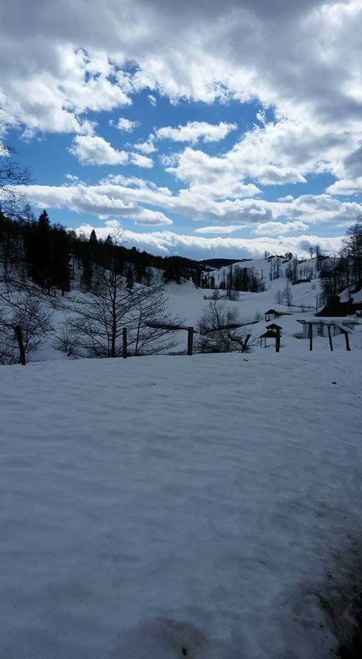 Tonya Hoşarlı Köyü Resimleri 14