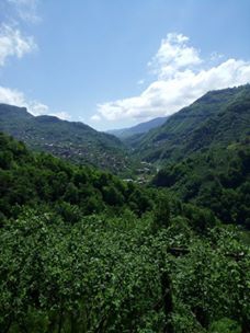 Tonya Hoşarlı Köyü Resimleri 19