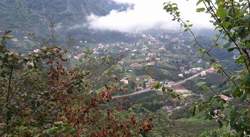 Tonya Hoşarlı Köyü Resimleri 27