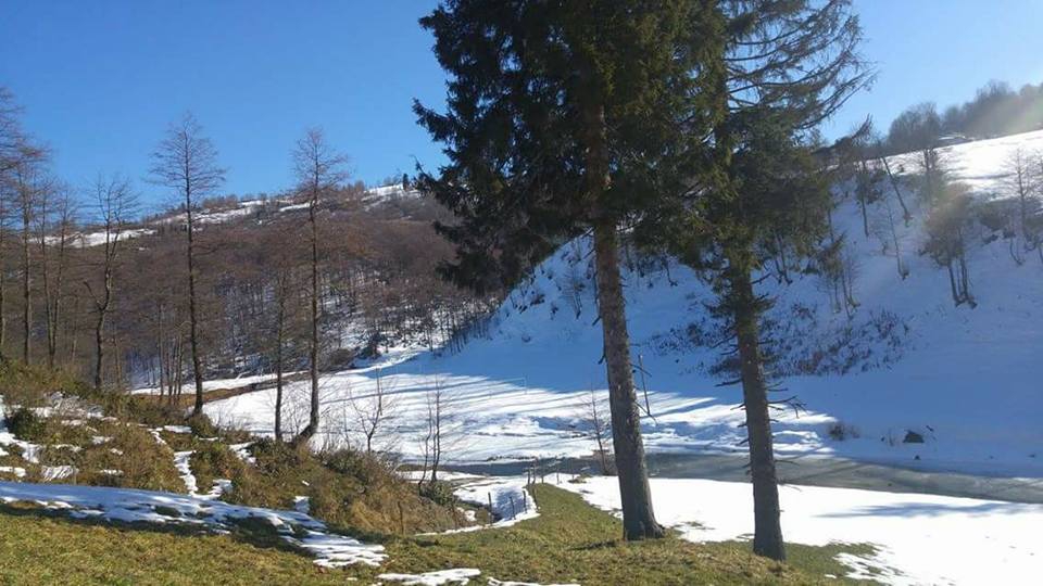 Tonya Hoşarlı Köyü Resimleri 30