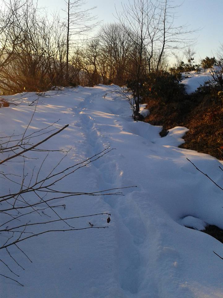 Tonya Hoşarlı Köyü Resimleri 35