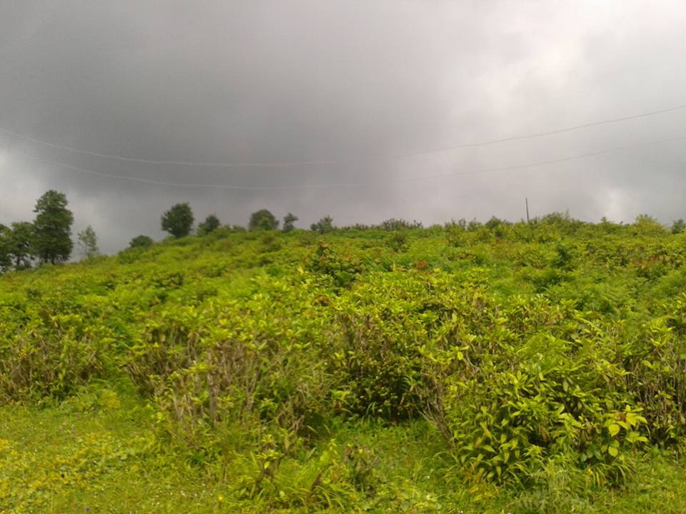 Tonya Hoşarlı Köyü Resimleri 46