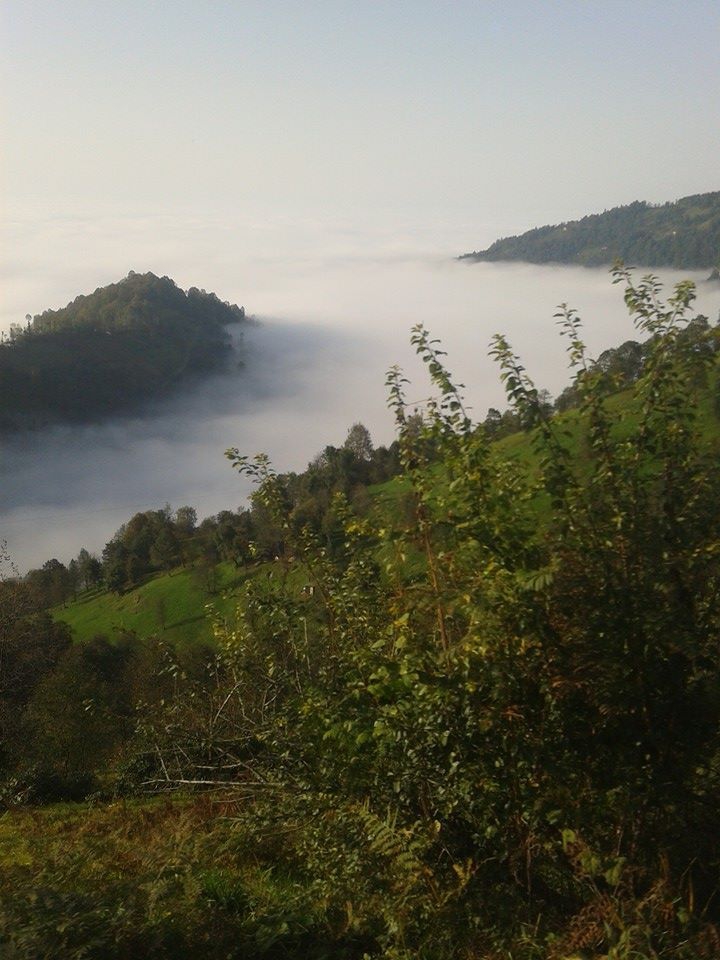 Tonya Hoşarlı Köyü Resimleri 55