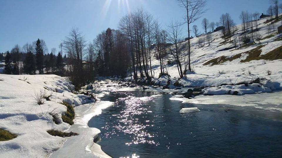 Tonya Hoşarlı Köyü Resimleri 57