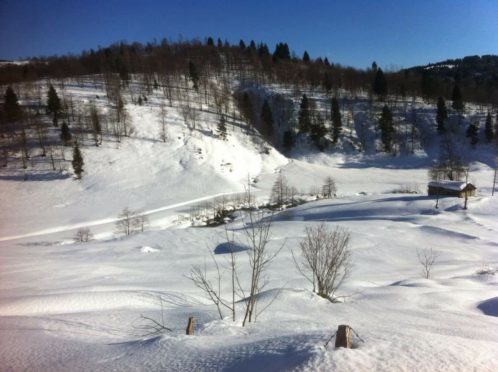 Tonya Hoşarlı Köyü Resimleri 71