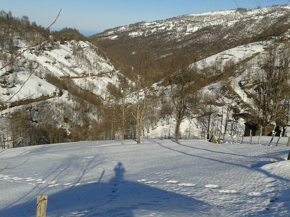 Tonya Hoşarlı Köyü Resimleri 74