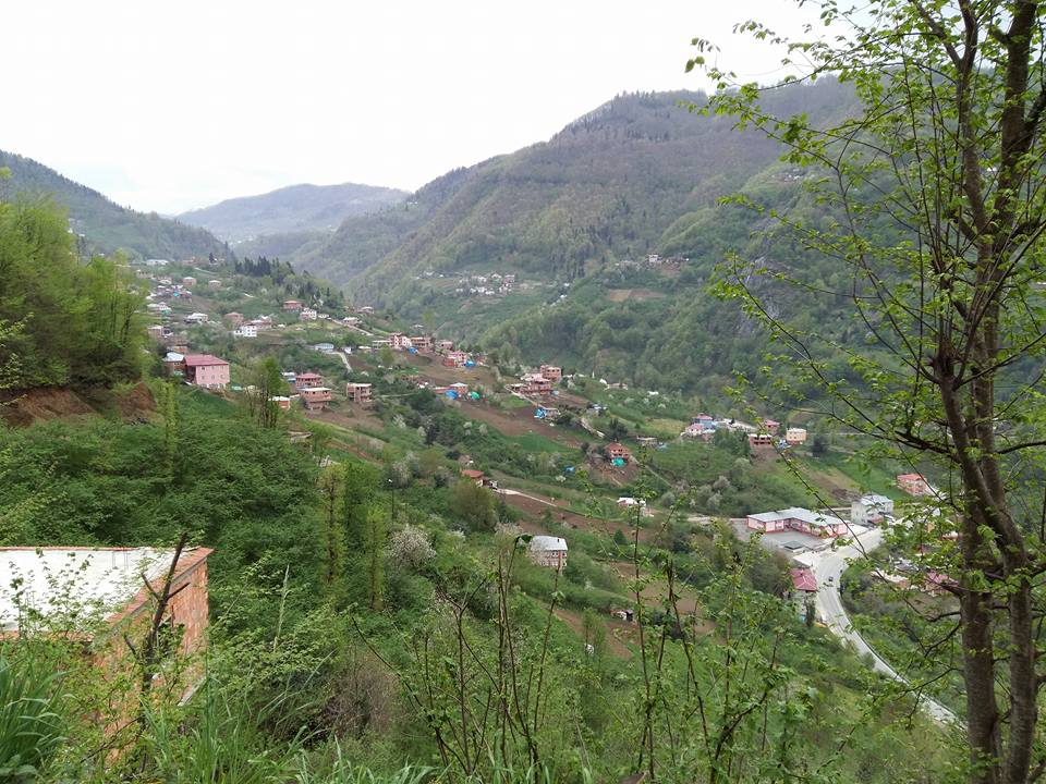 Tonya Hoşarlı Köyü Resimleri 79