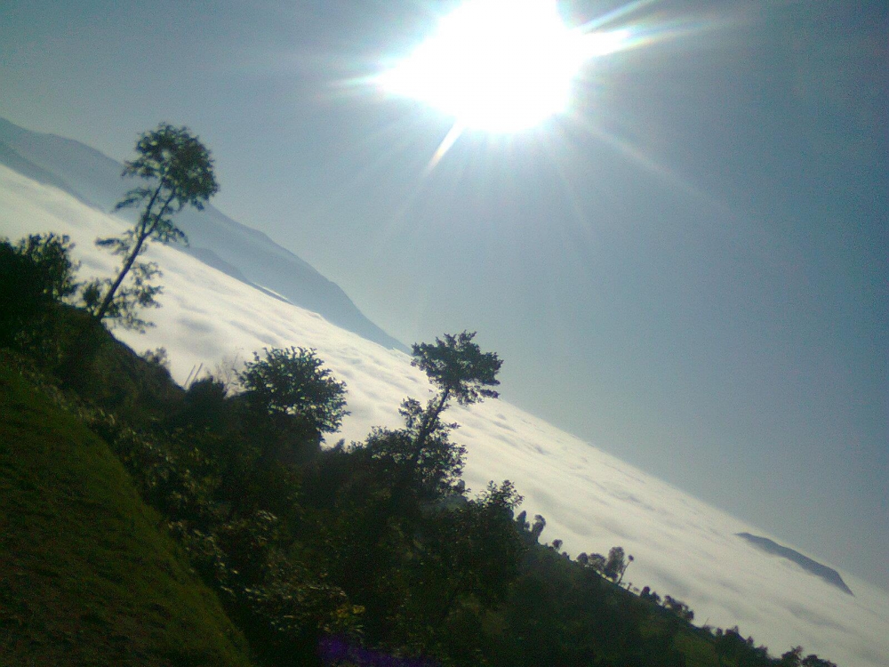 Tonya Hoşarlı Köyü Resimleri 81