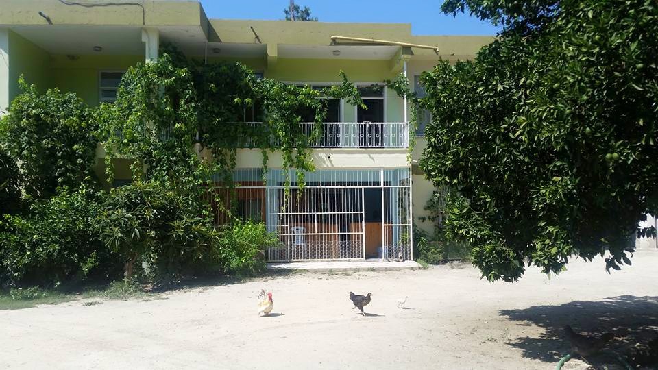 Adana Çukurova Küçükçınar Köyü Resimleri 2