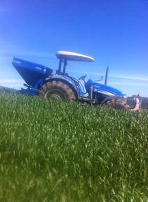 Adana Çukurova Küçükçınar Köyü Resimleri 8