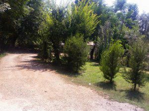 Adana Çukurova Küçükçınar Köyü Resimleri