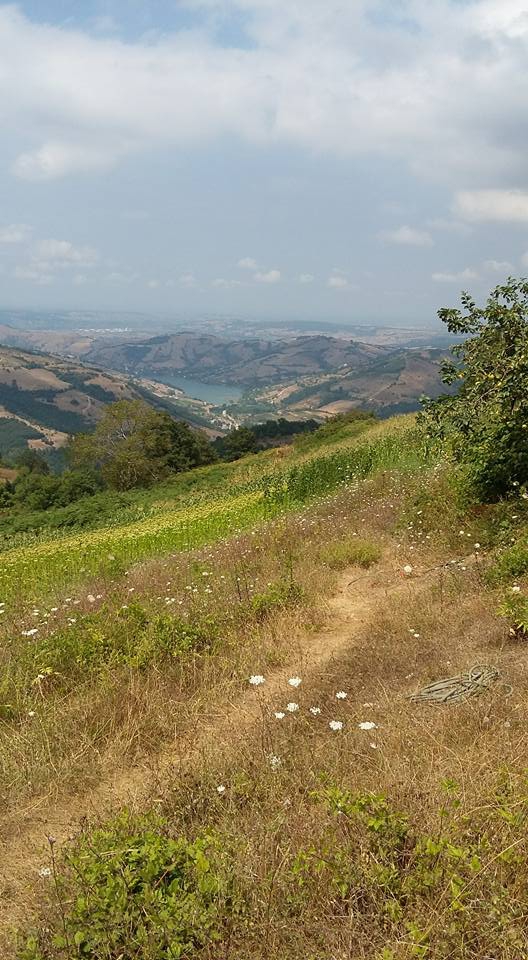 Bafra Ağcaalan Köyü Resimleri 3
