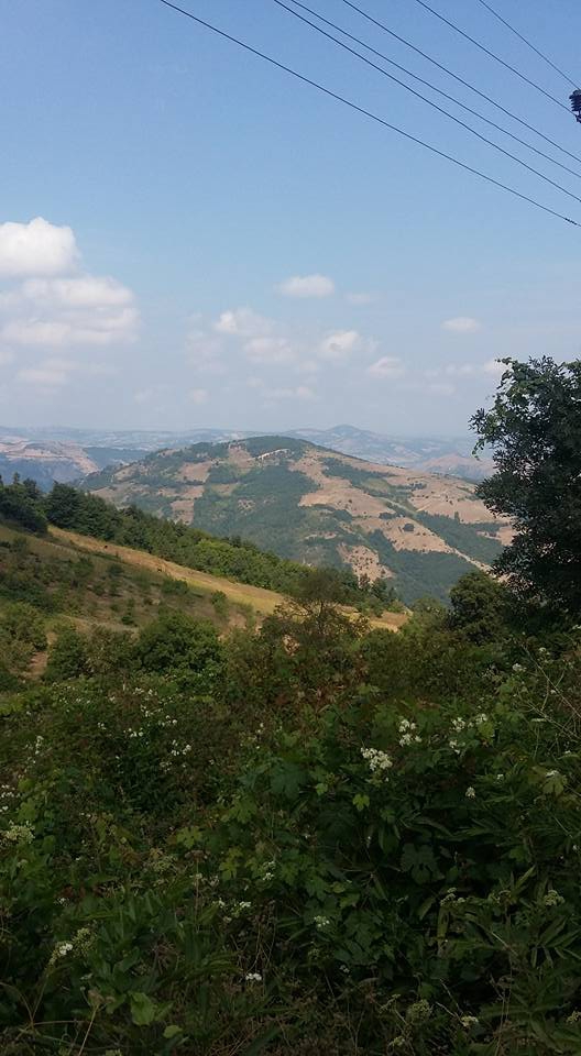 Bafra Ağcaalan Köyü Resimleri 4