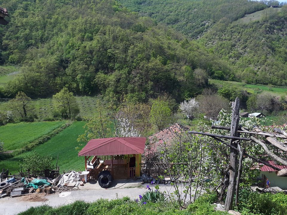 Bafra Ağcaalan Köyü Resimleri 5