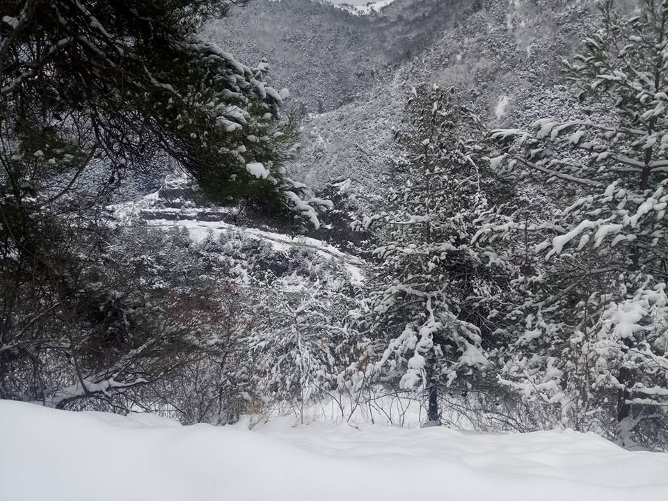 Bafra Akalan Köyü Resimleri 7