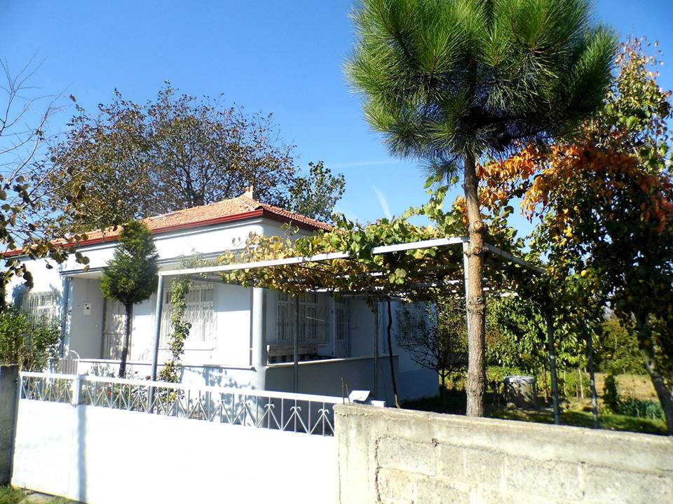 Bafra Aktekke Köyü Resimleri 3