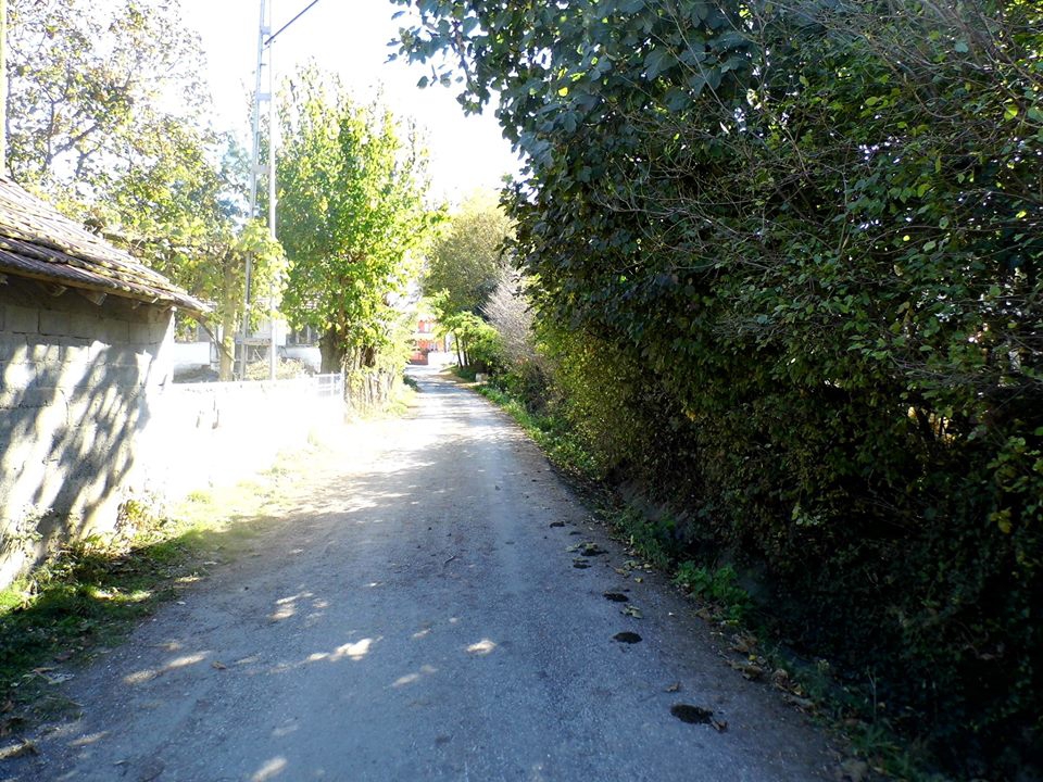 Bafra Aktekke Köyü Resimleri 8